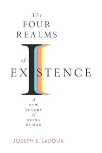Four Realms of Existence: A New Theory of Being Human