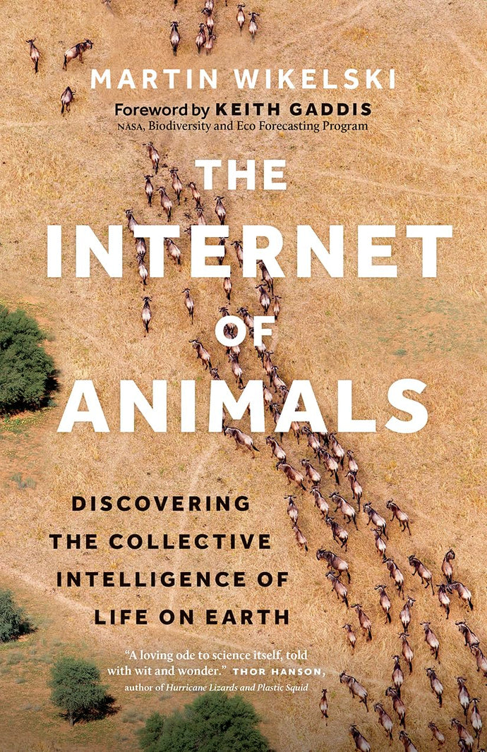 Internet of Animals: Discovering the Collective Intelligence of Life on Earth