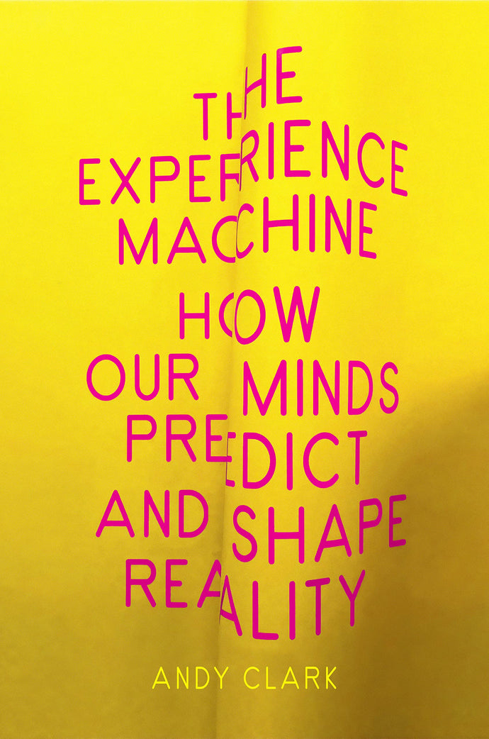 Experience Machine: How our Minds Predict and Shape Reality