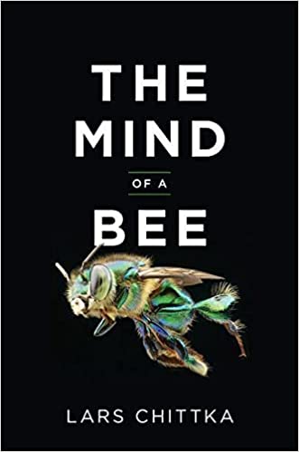 Mind of Bee