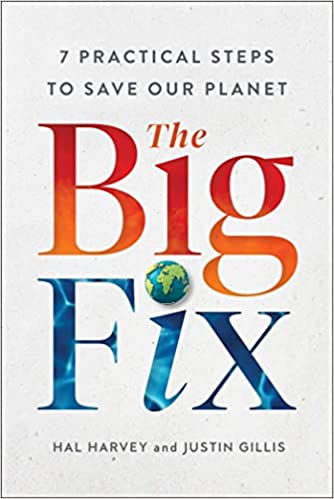 Big Fix: 7 Practical Steps to Save our Planet