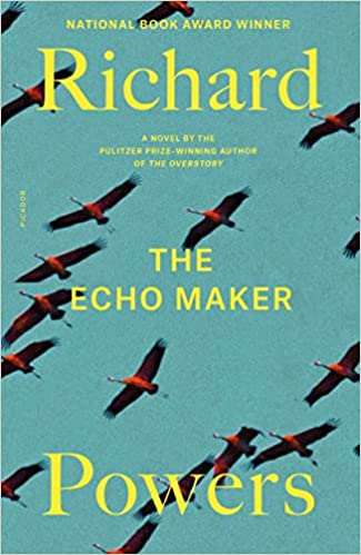 Echo Maker, The