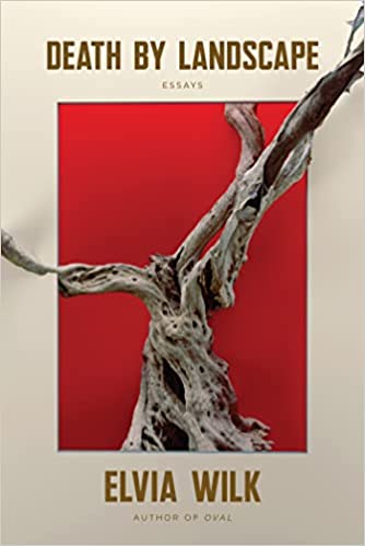 Death by Landscape: Essays