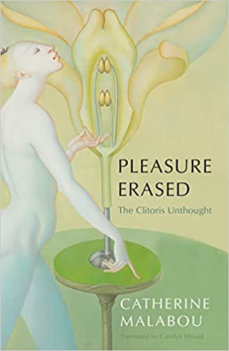 Pleasure Erased