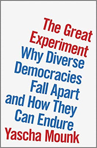 Great Experiment, The: Why Diverse Democracies Fall Apart and How they can Endure