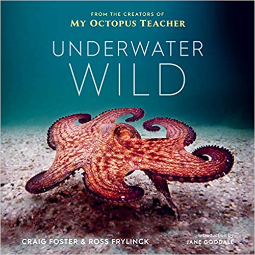 Underwater Wild: My Octopus Teacher's Extrordinary World