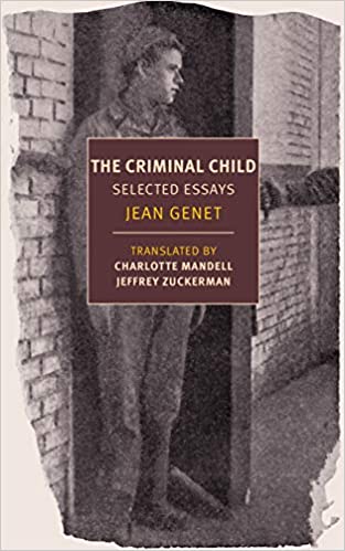 Criminal Child: Selected Essays