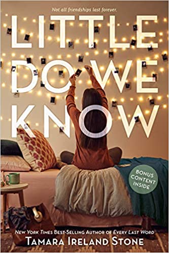 Little Do We Know, a novel by Tamara Ireland Stone