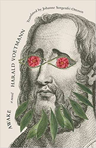 Awake: A Novel