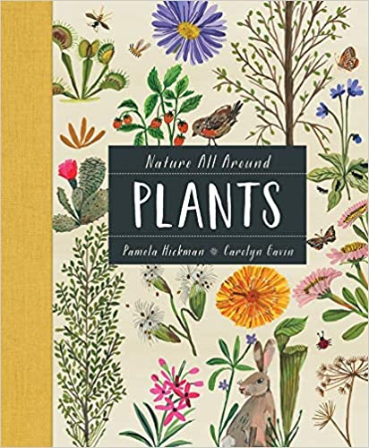 Plants: Nature All Around