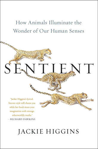 Sentient: How Animals Illuminate the Wonder of our Human Senses