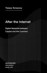 After the Internet: Digital Networks between Capital and the Common
