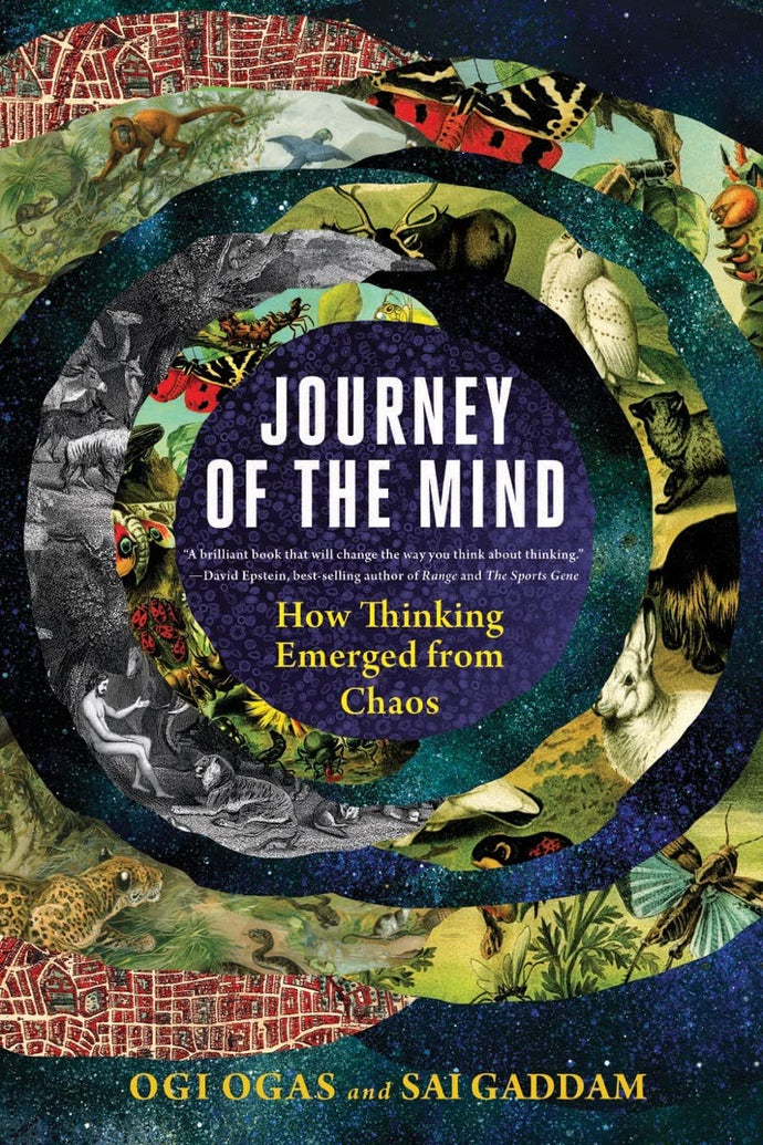 Journey of the Mind: How Thinking Emerged from Chaos