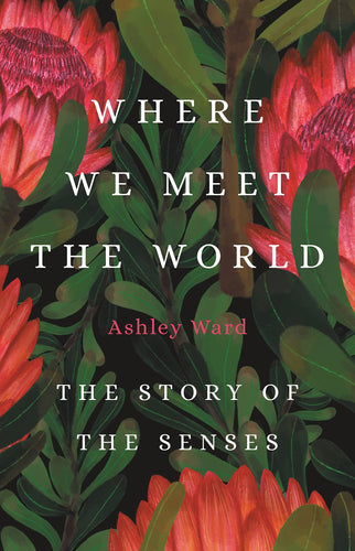 Where we Meet the World: The Story of the Senses