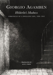 Hölderlin's Madness: Chronicle of a Dwelling Life, 1806–1843