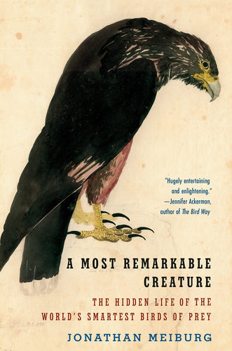 A Most Remarkable Creature: The Hidden Life of the World's Smartest Bird of Prey