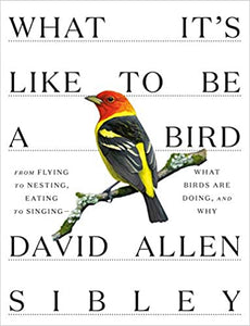 What It's Like to Be a Bird: From Flying to Nesting, Eating to Singing, What Birds Are Doing, and Why, by David Allen Sibley