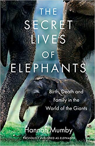 Elephants: Birth, Life, and Death in the World of the Giants