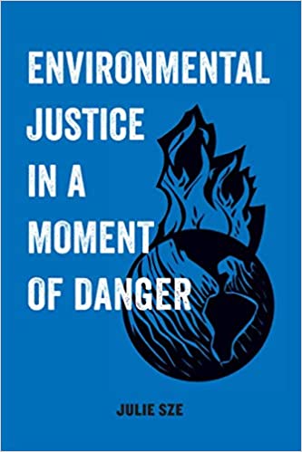 Environmental Justice in a Moment of Danger (Volume 11) (American Studies Now: Critical Histories o)
