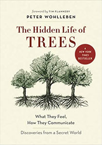 Hidden Life of Trees: What They Feel, How They Communicate—Discoveries from a Secret World