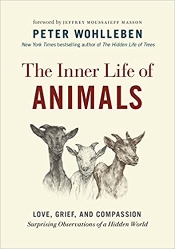 Inner Life of Animals