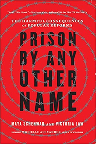 Prison by Any Other Name: The Harmful Consequences of Popular Reforms